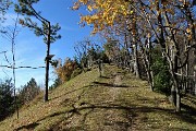 37 Al Rocol di Ciarec rientro sul sent. 597